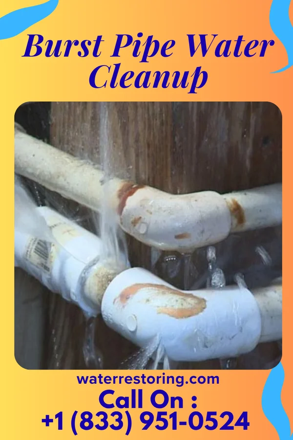 Burst Pipe Water Cleanup in Annetta, TX