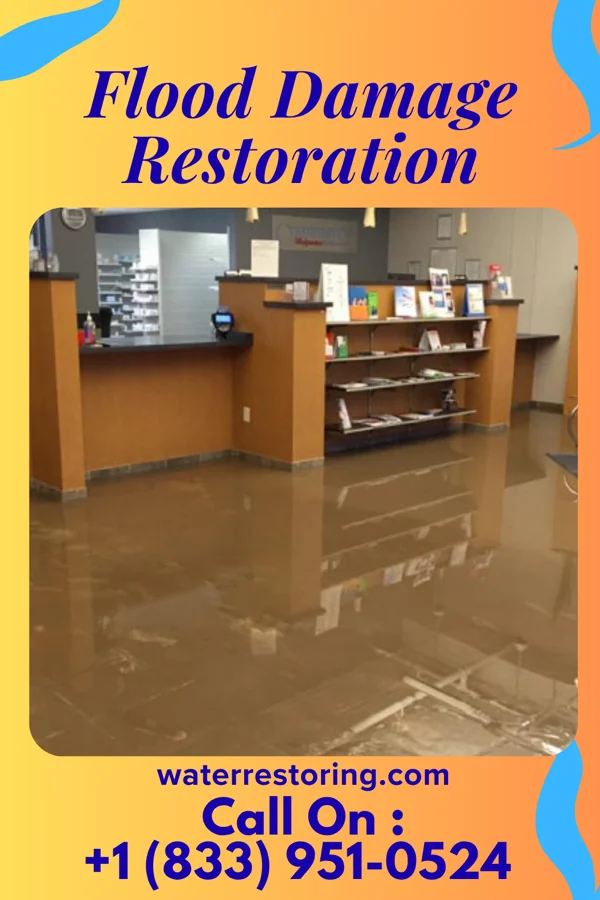 Flood Damage Restoration in Annetta, TX
