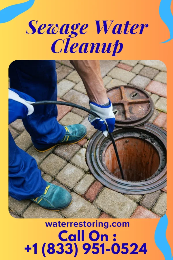 Sewage Water Cleanup in Annetta, TX