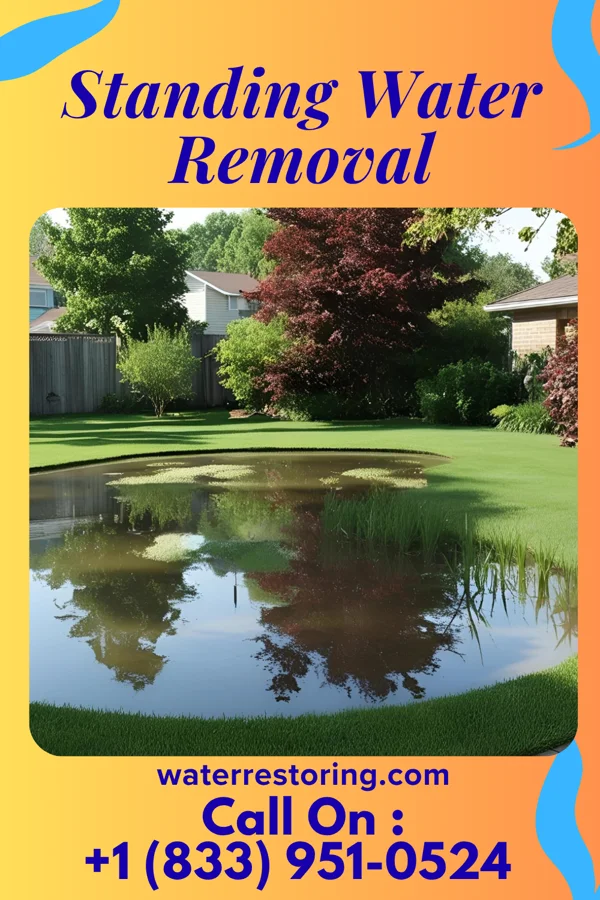 Standing Water Removal in Annetta, TX